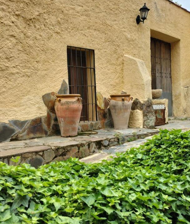 Photo of Others in Casas de Don Pedro