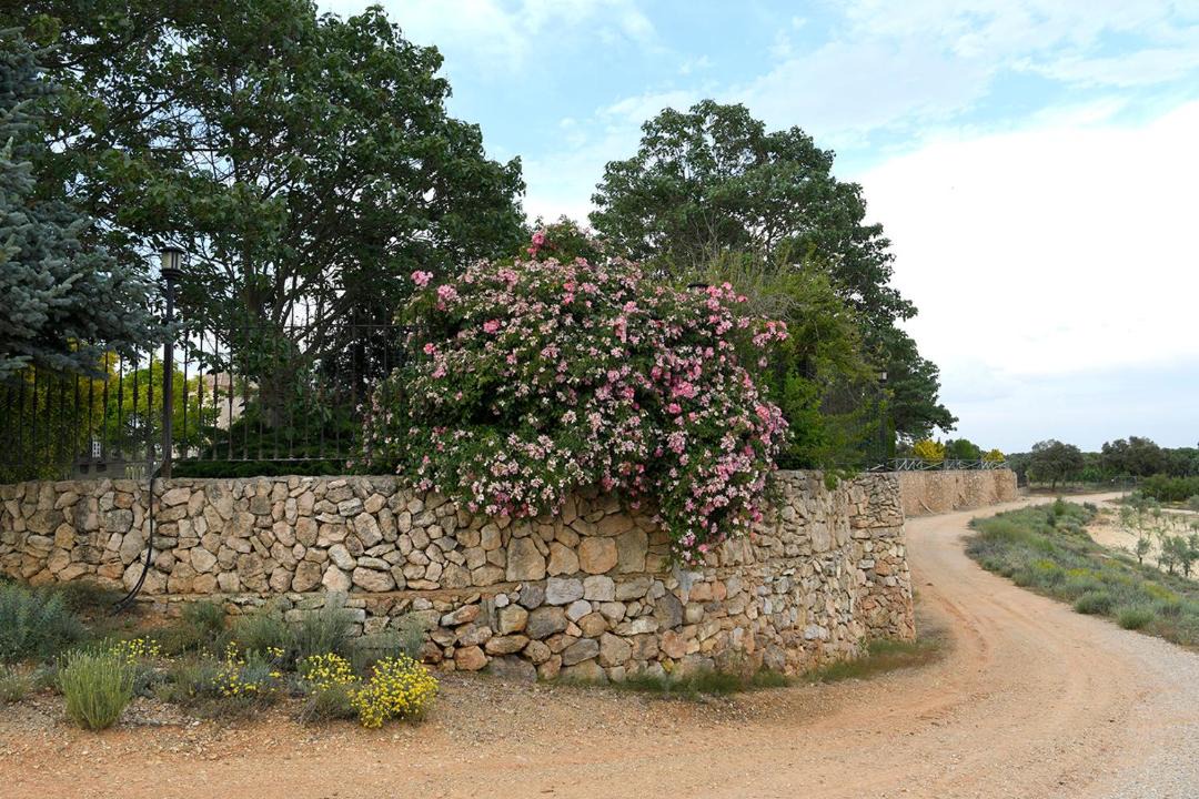 Photo of Others in El Simarro