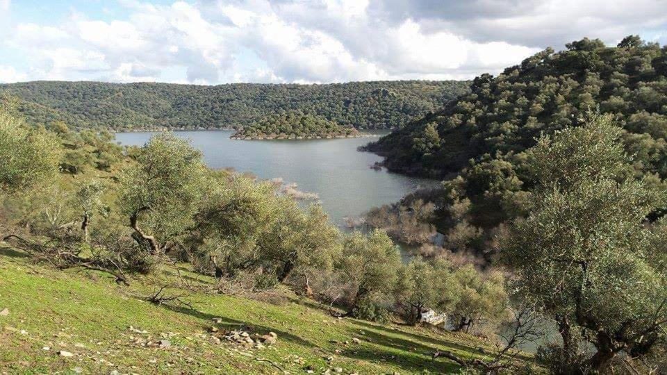 Photo of Others in Almodovar del Rio