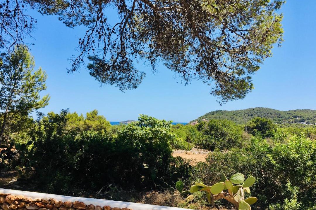 Photo of Others in Es Figueral Beach