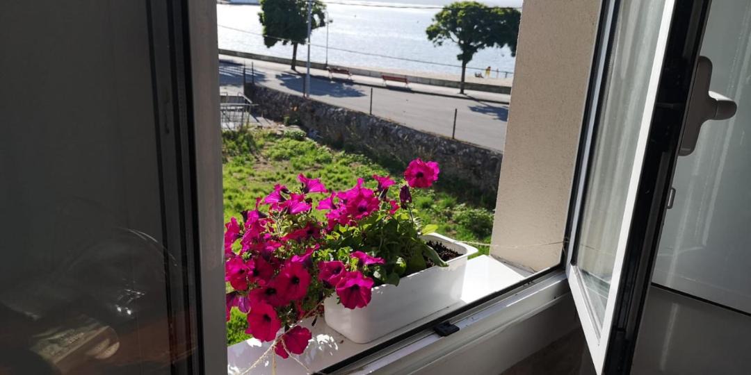 Photo of Others in Vilagarcia de Arousa