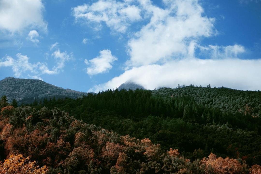 Photo of Outdoor in Arbucies