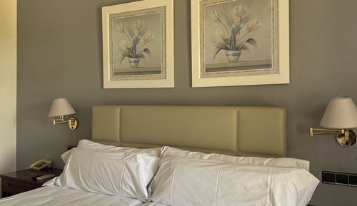 Double or Twin Room (with Garden)