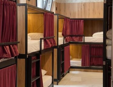 Bunk Bed in Mixed Dormitory Room