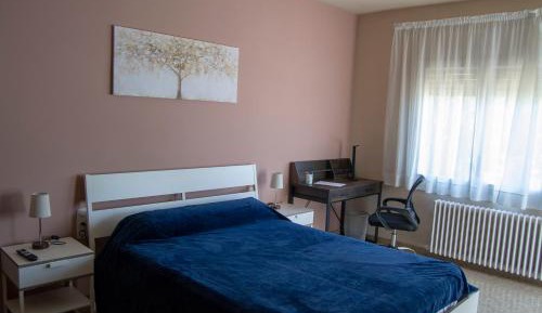 Double or Twin Room with Mountain View