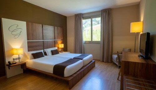 Double or Twin Room