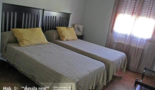 Twin Room - Disability Access
