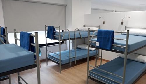 Bunk Bed in Mixed Dormitory Room
