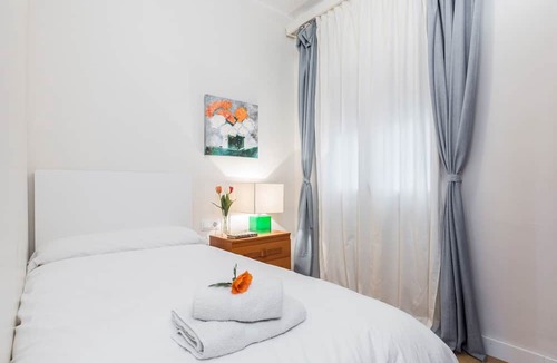 Can Baro Apartment | Casa Camelies apartment close to Park Guell - FREE WIFI