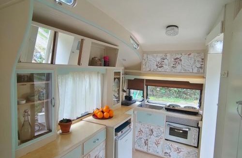 Montseny Other | Caravana Vintage El Roserar de Montseny Homestay
