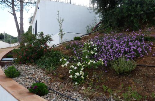 Almodovar del Rio House | Casas Rurales el Balcon de la Brena