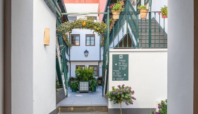 Hommyhome Triana Boutique Apartments 002 Venerable