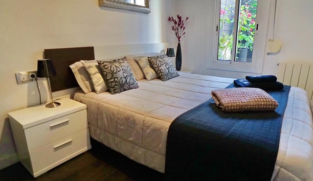 Renovated apartment with beautiful terrace