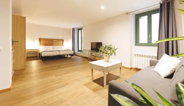 Bravissimo Força 17 Somni, Studio Apartment