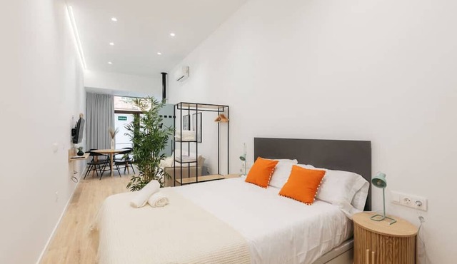 Elegant Loft in Valencia