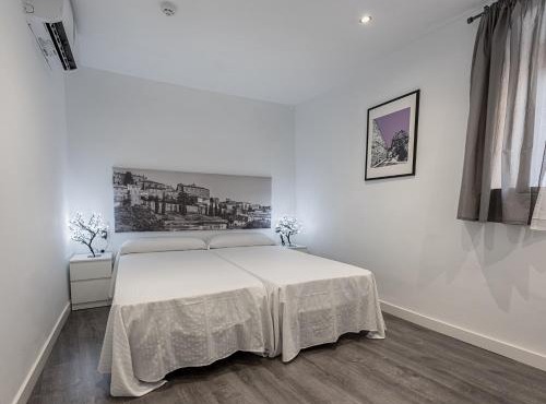 Apartamentos Turísticos Domus Seleqtia Plaza Mayor
